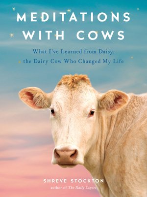 cover image of Meditations with Cows